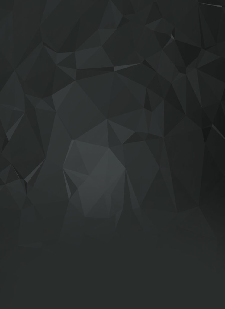 body bg 1 745x1024 - body_bg-1